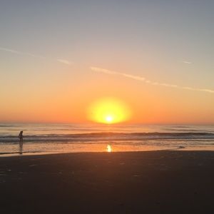 Meet your Posher, Phoebe